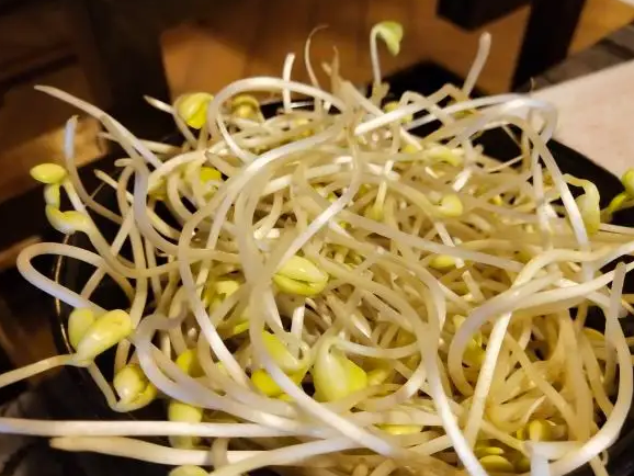 豆芽機豆貴妃